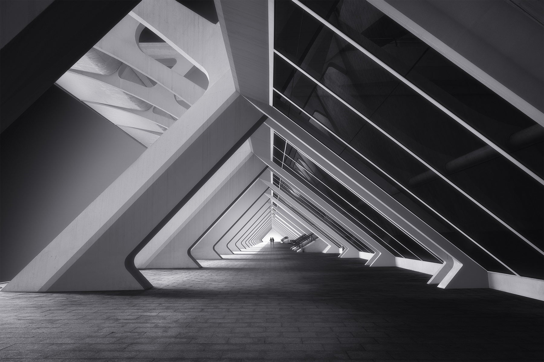 black and white photo award architecture