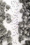 drone photo awards Bieg PiastÃ³w cross country skiing 