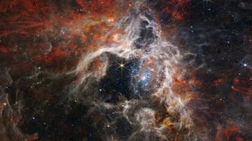 The Tarantula Nebula will ensnare you in a web of beauty The Tarantula Nebula will ensnare you in a web of beauty