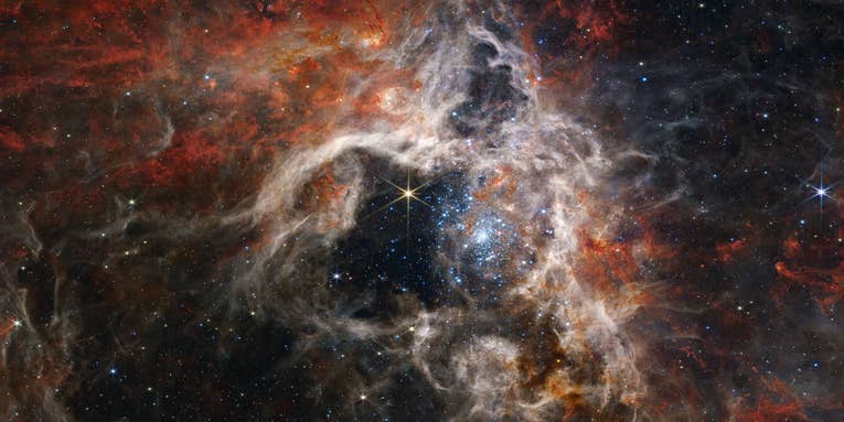 The Tarantula Nebula will ensnare you in a web of beauty