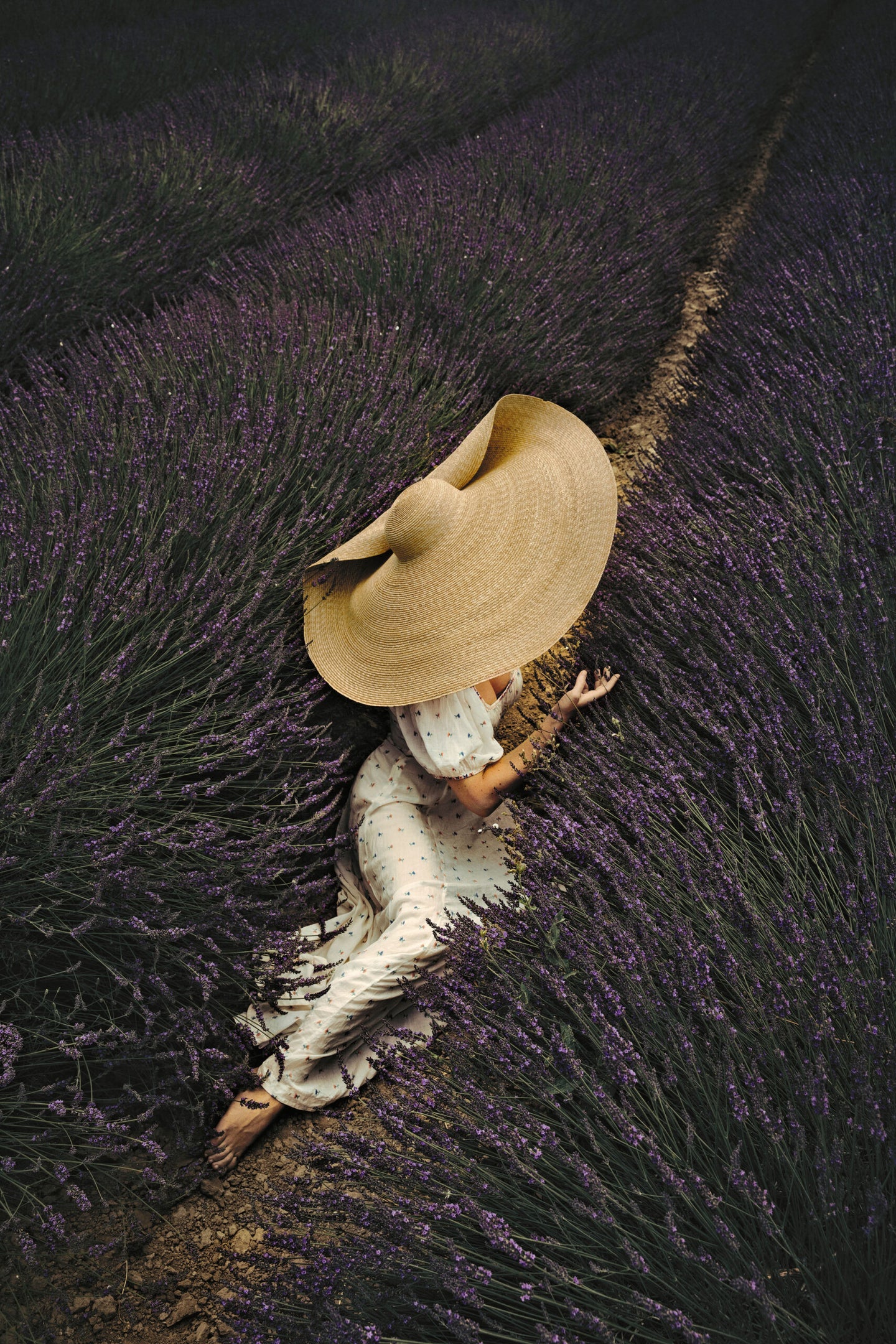jamie beck and american in provence lavender field