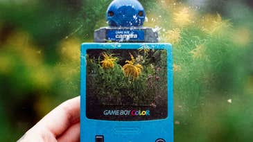 How to create double exposures on film How to create double exposures on film