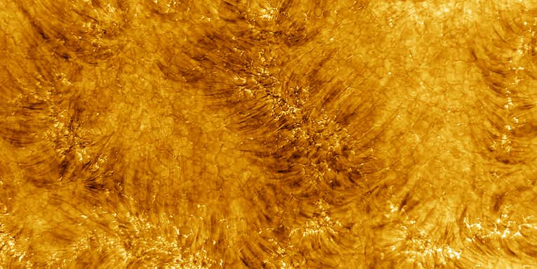 Turn up the heat with these fiery, stunningly-detailed images of our sun
