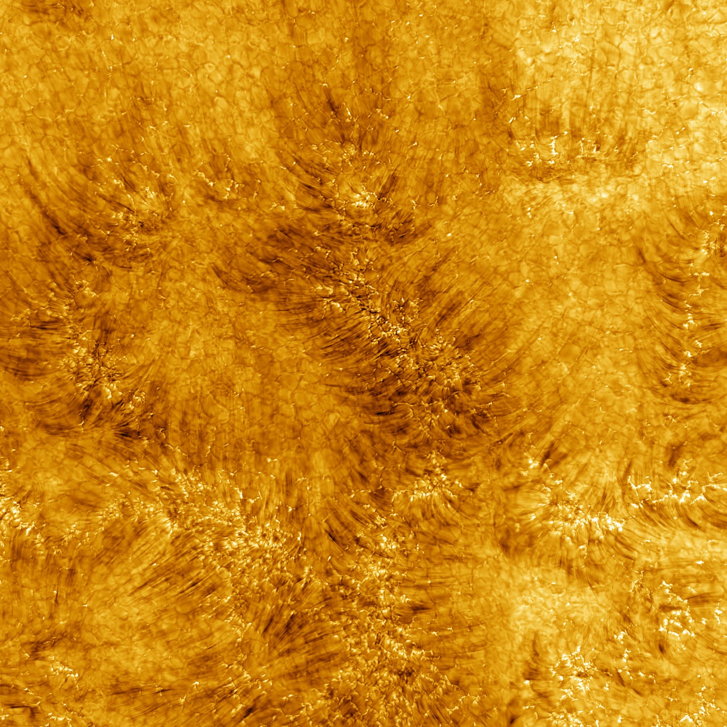 Inouye Solar Telescope images sun chromosphere
