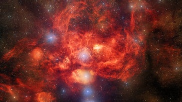 Dark energy camera snaps a mouthwatering 570-megapixel image of the ‘Lobster Nebula’