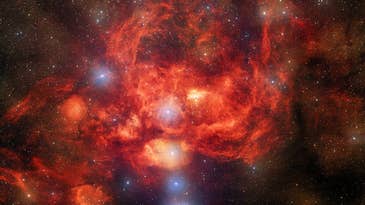 Dark energy camera snaps a mouthwatering 570-megapixel image of the ‘Lobster Nebula’