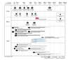 OM Digital Solutions lens roadmap, late 2022