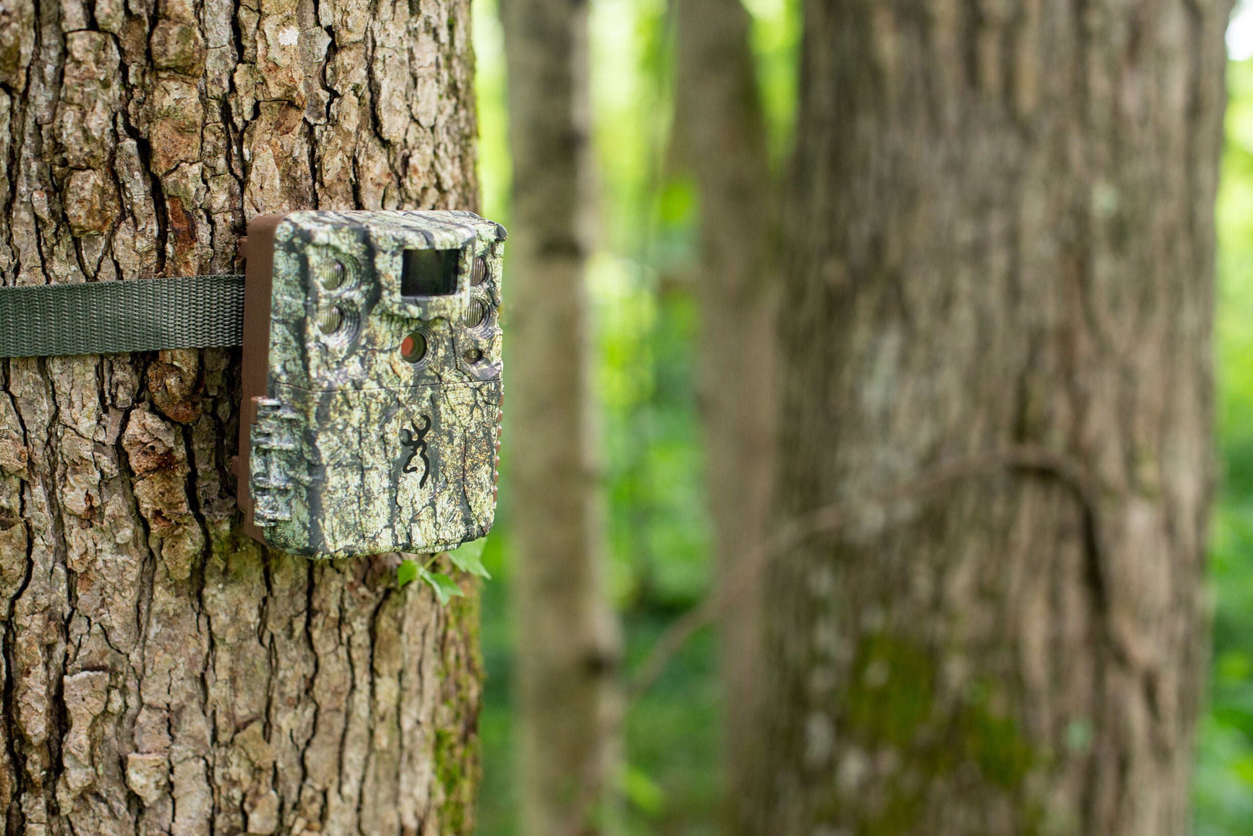 Here's how to use your trail camera.