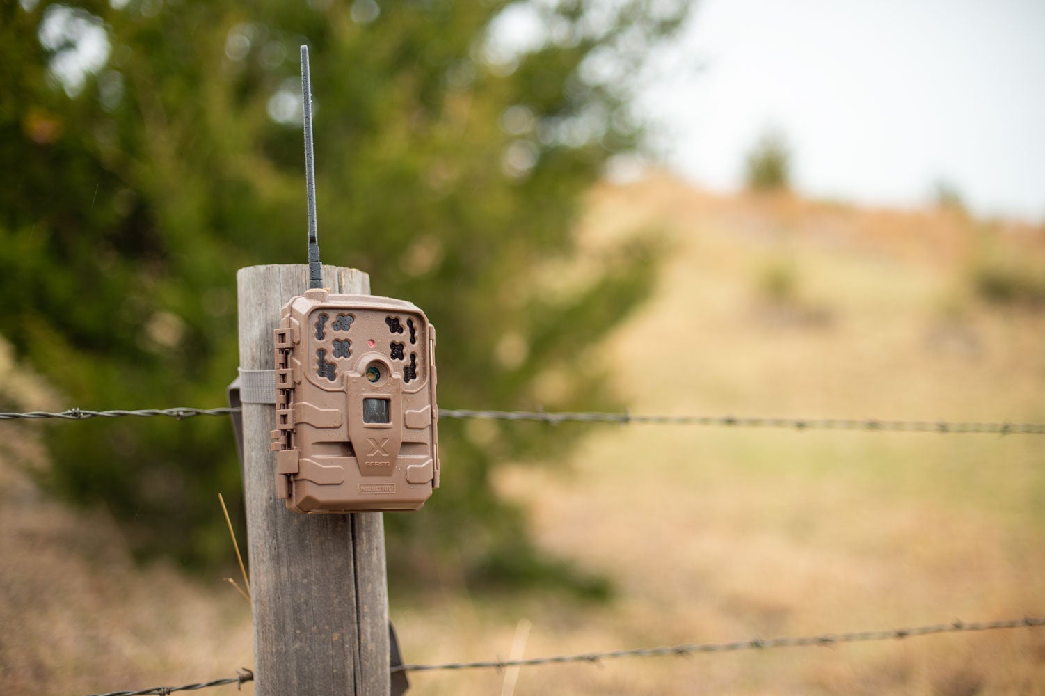 Moultrie Mobile Delta Base Cellular Trail Camera