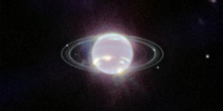 Bling, bling, Webb photographs Neptune’s rarely-seen rings