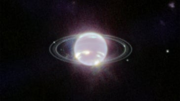 Bling, bling, Webb photographs Neptune's rarely-seen rings