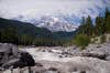 Looking up at Mount Rainier.