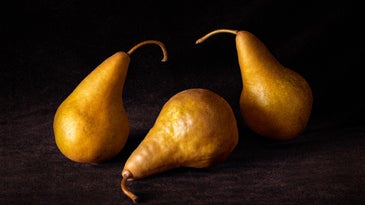 Freeze! The week's best reader-submitted still life photos