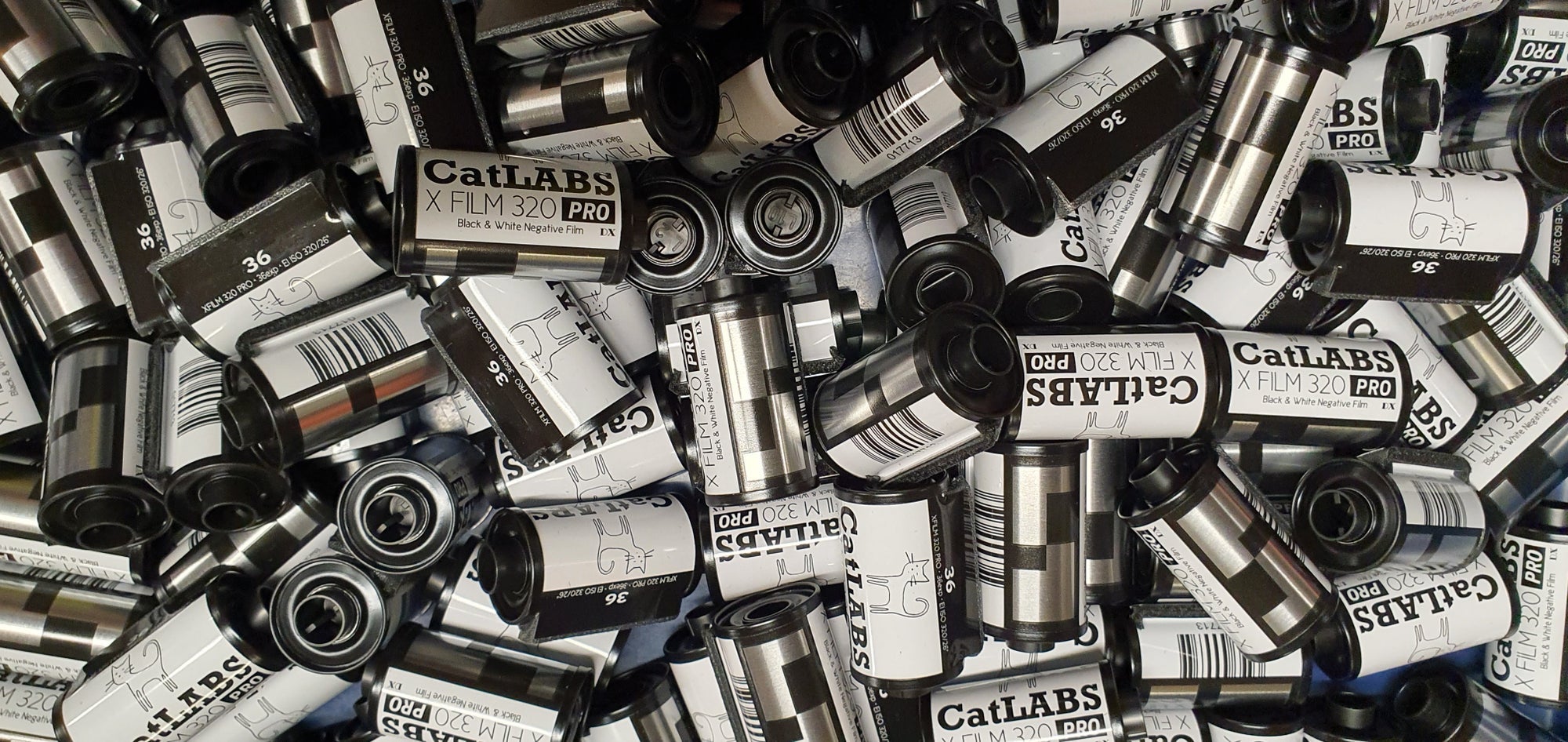 Rolls of CatLABS new ISO 320 B&W film stock