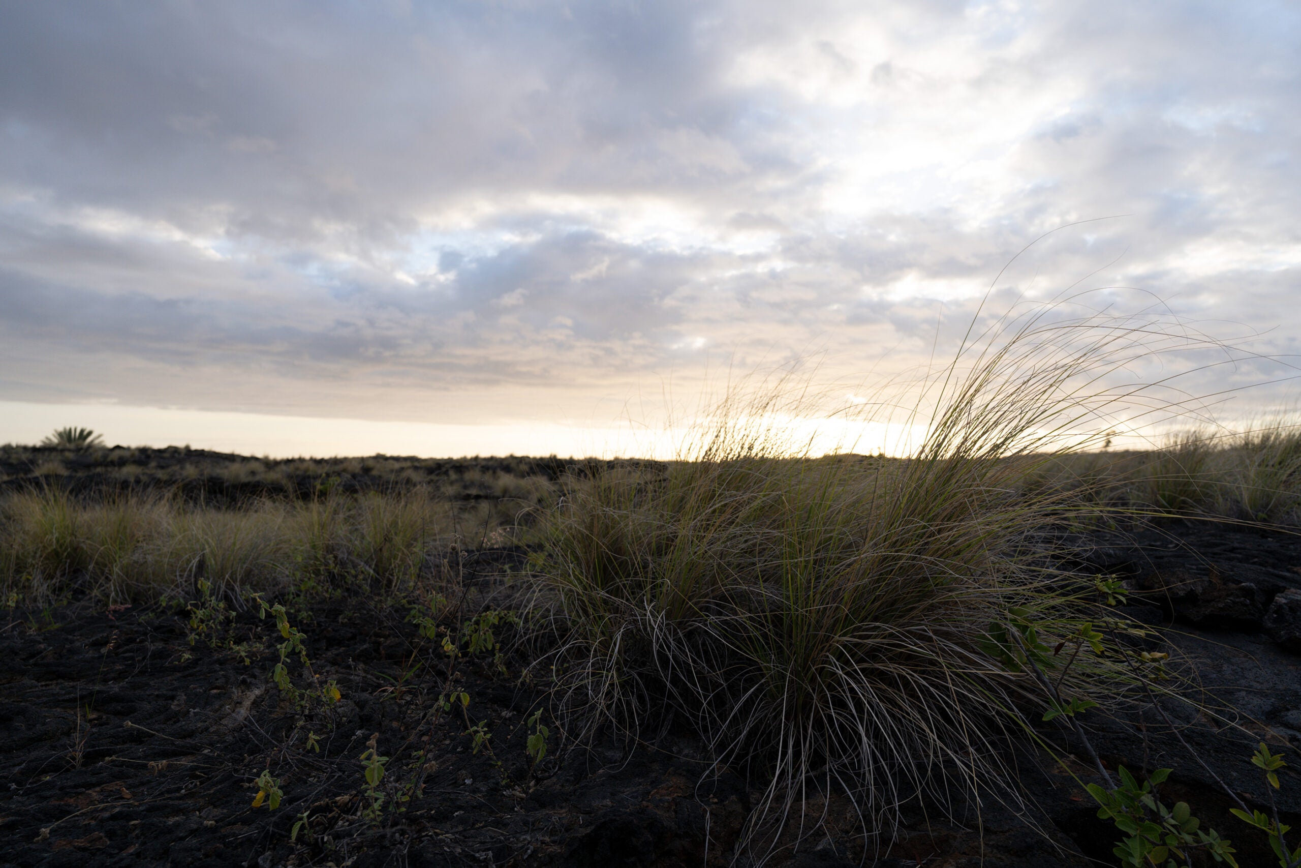 The Sony 16-35mm f/4 G produces sharp, highly-detailed images.