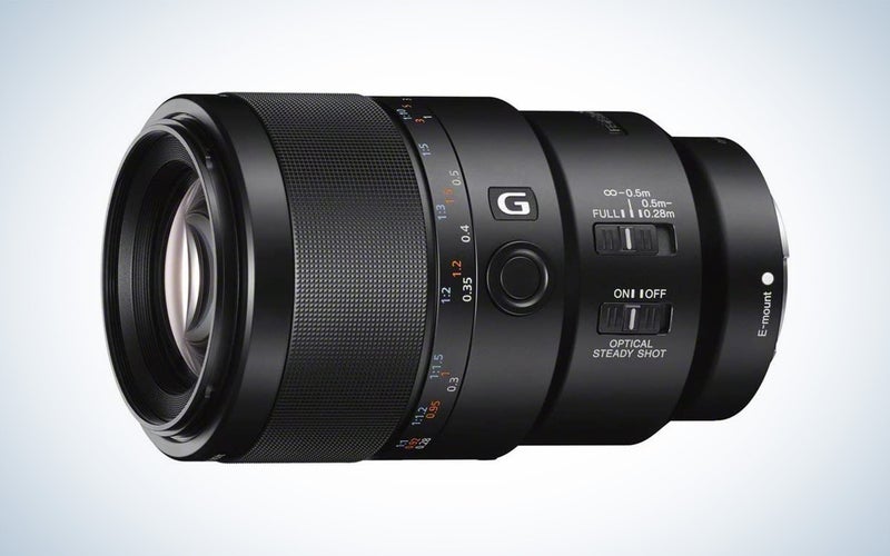 Sony FE 90mm f/2.8 Macro G OSS macro lens
