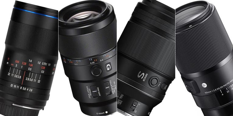 The best macro lenses for 2023