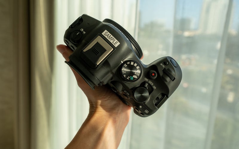 The Canon EOS R6 Mark II has a familiar feel.