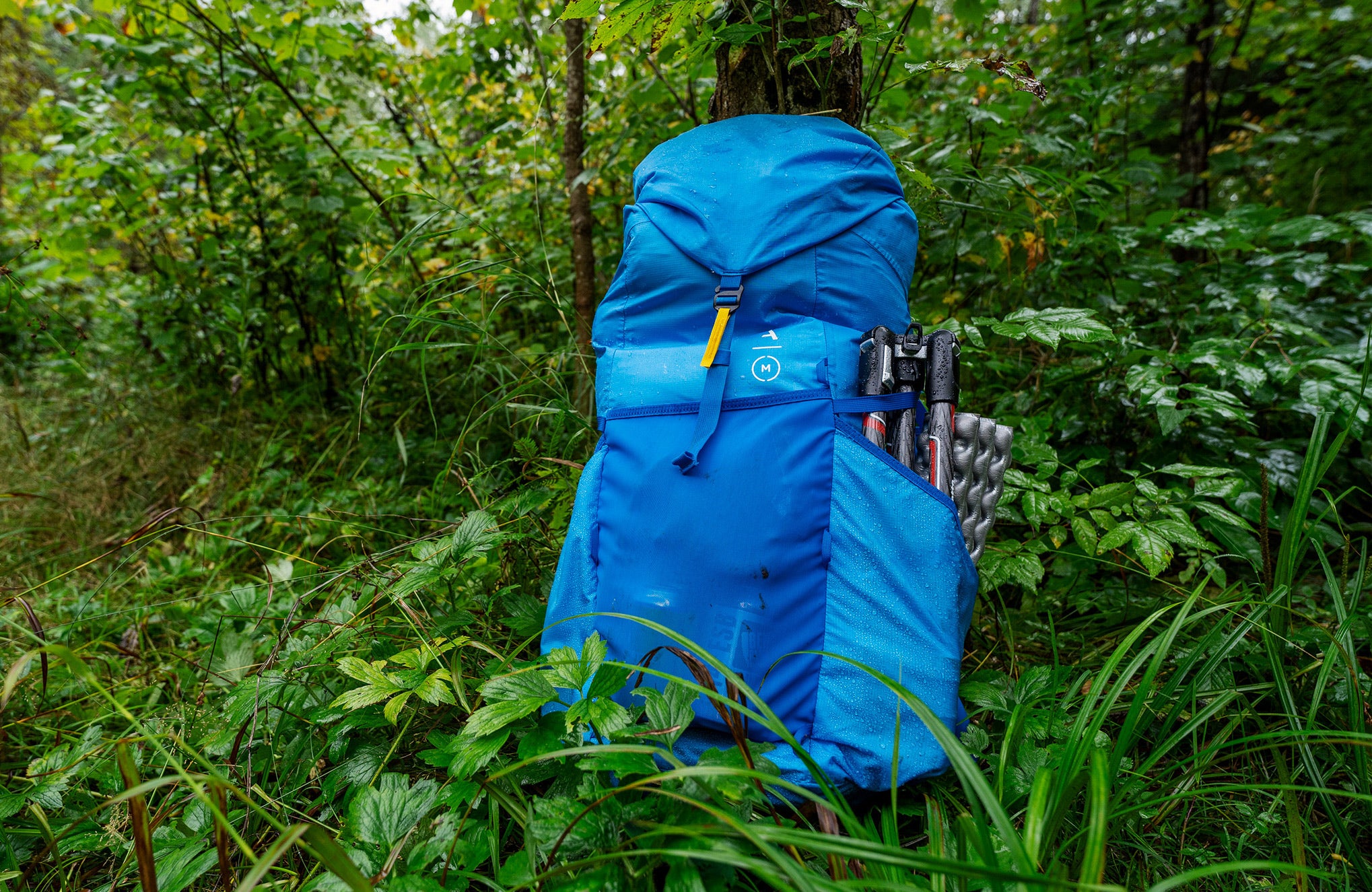 Blue Moment Strohl Mountain Light 45L hiking camera backpack in a forest