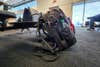 Manfrotto camera backpack in the airport