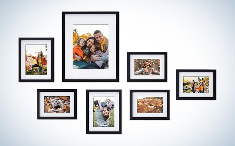 9-Piece Brushed Silver 4x6 Gallery Wall Picture Frame Set +