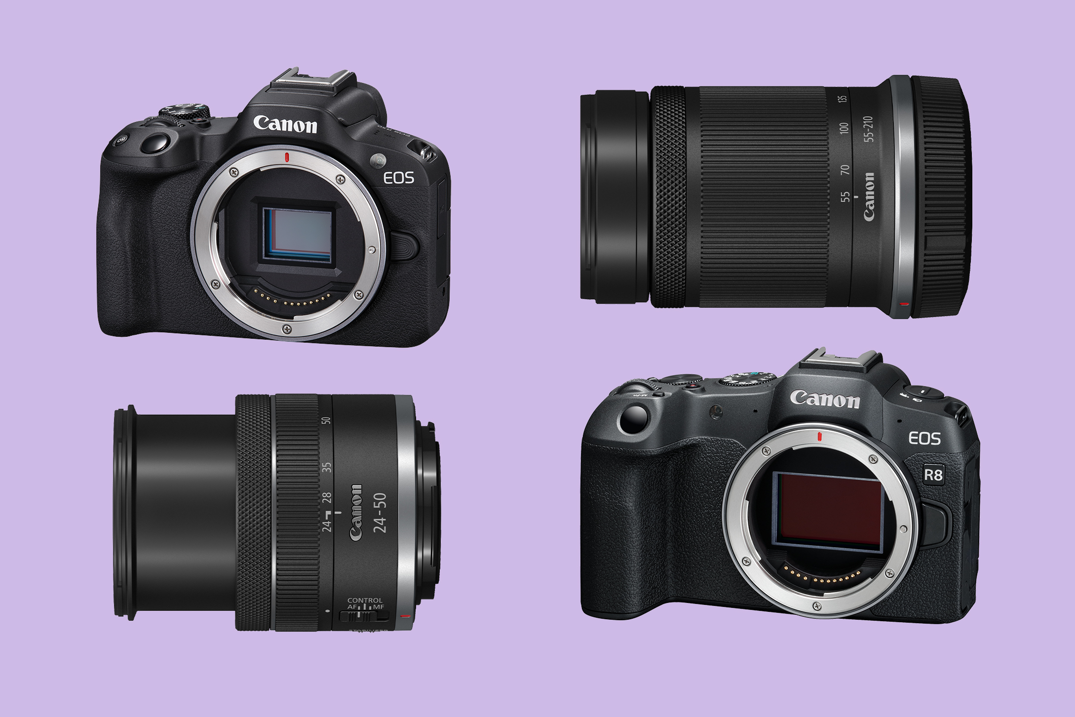  Canon EOS R8 Full-Frame Mirrorless Camera w/RF24-50mm F4.5-6.3  IS STM Lens, 24.2 MP, 4K Video, DIGIC X Image Processor, Subject Detection  & Tracking, Compact, Smartphone Connection, Content Creator : Electronics