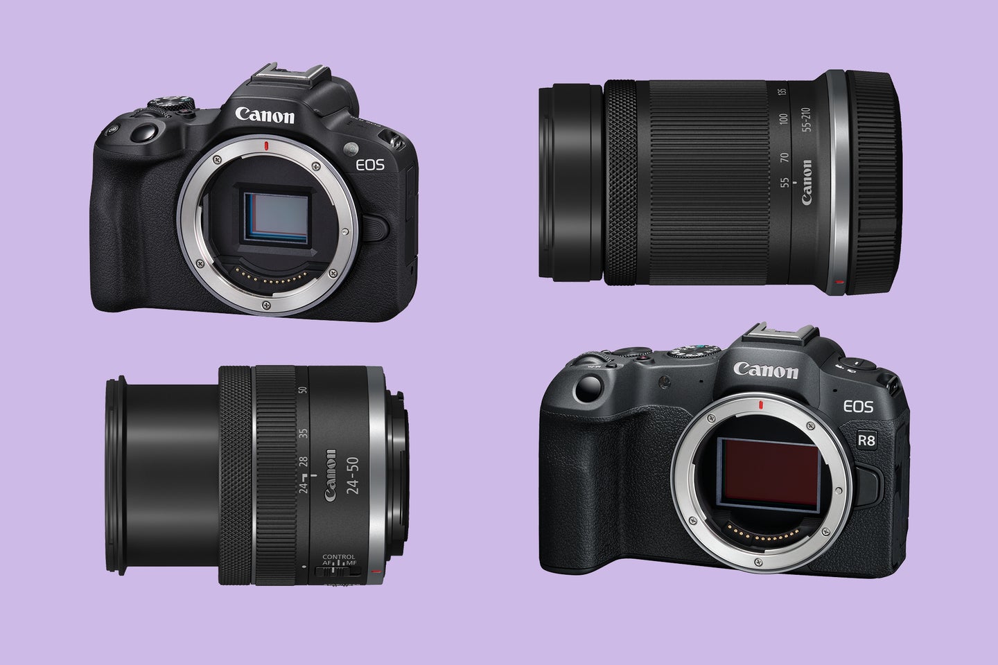 Canon EOS R50, R8, 24-50mm, and 55-210mm