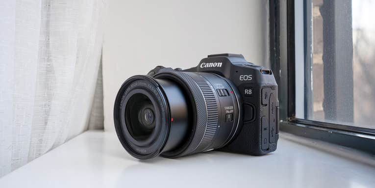 Early hands-on with the Canon EOS R8: A compact hybrid camera for beginners