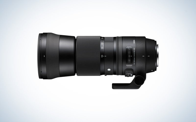 Sigma 150-600mm f/5-6.3 DG OS HSM Sports lens