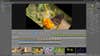 Zoner Photo Studio X video editing screenshot