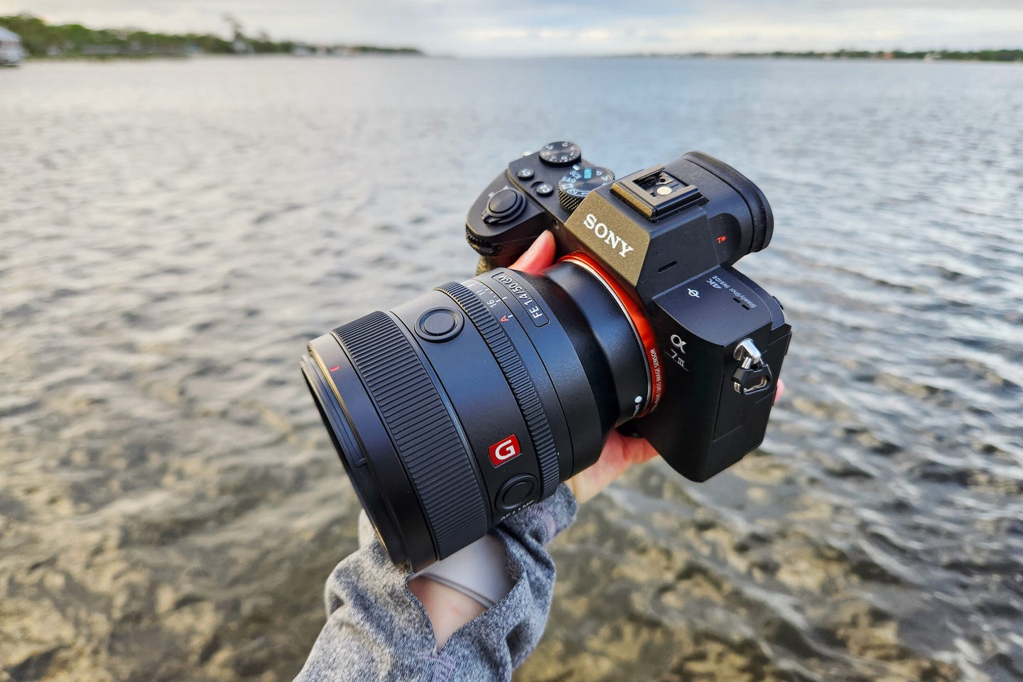 The Sony a7 III with 50mm f/1.4 GM lens in front of a body of water.