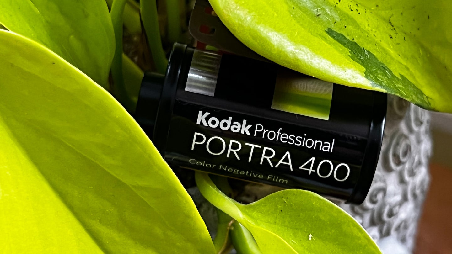 A roll of 35mm Kodak Portra in a plant