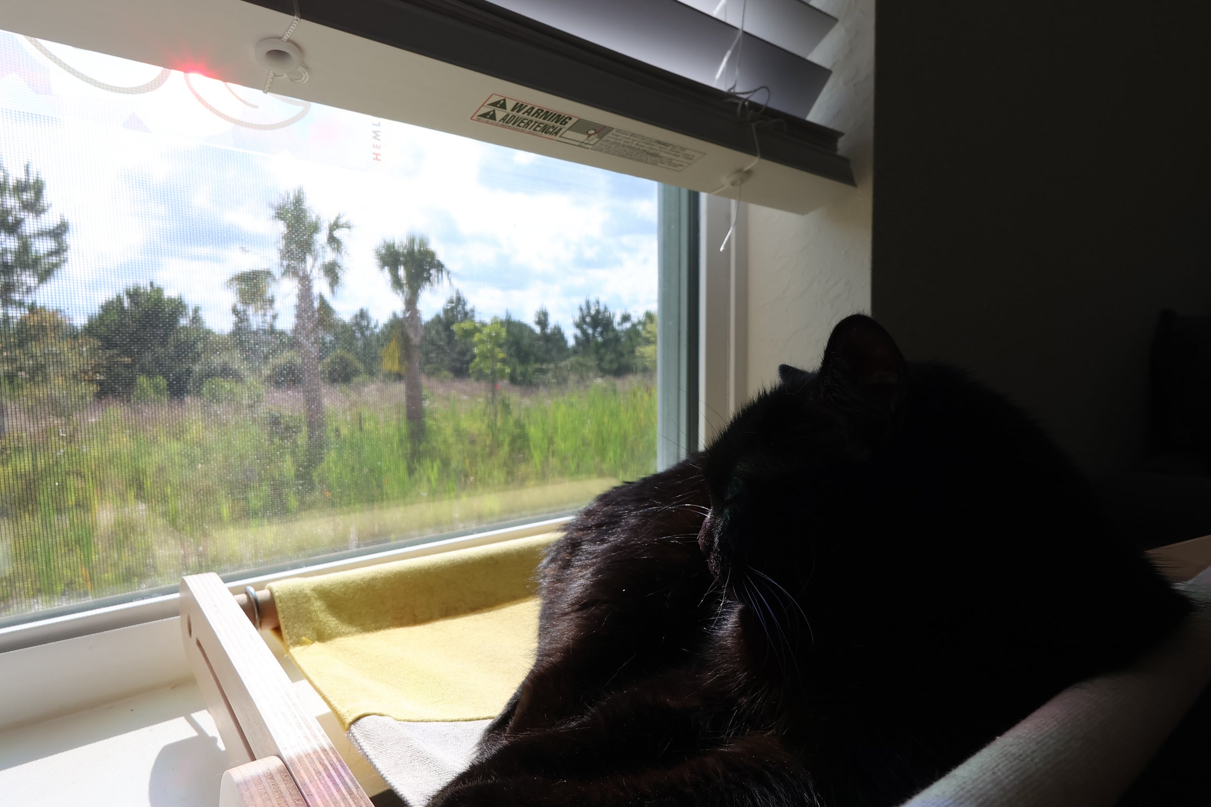 A photo of a black cat sitting on a window seat