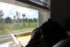 A photo of a black cat sitting on a window seat