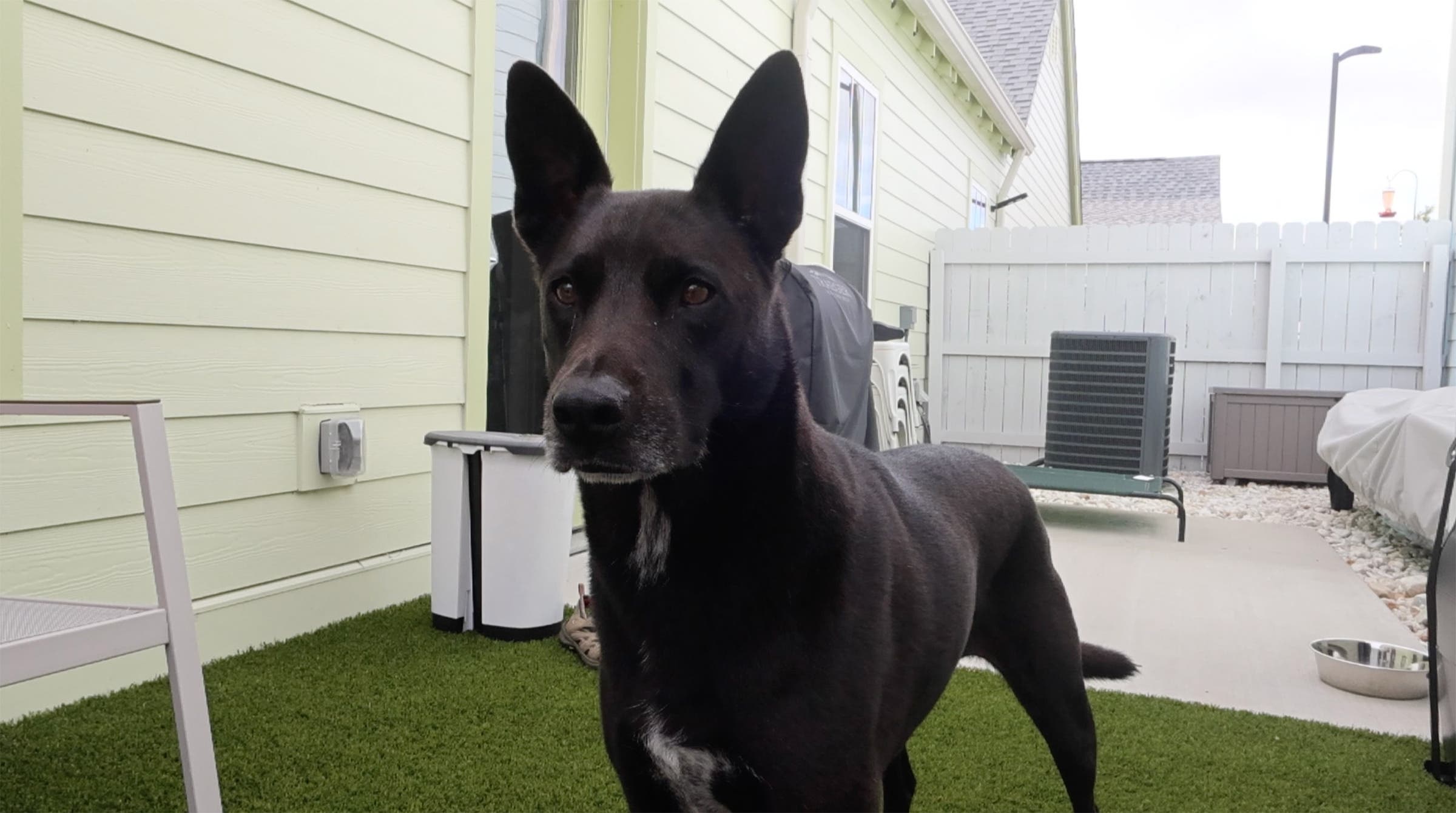 Canon PowerShot V10 Review:de beste compactcamera voor vloggers? 