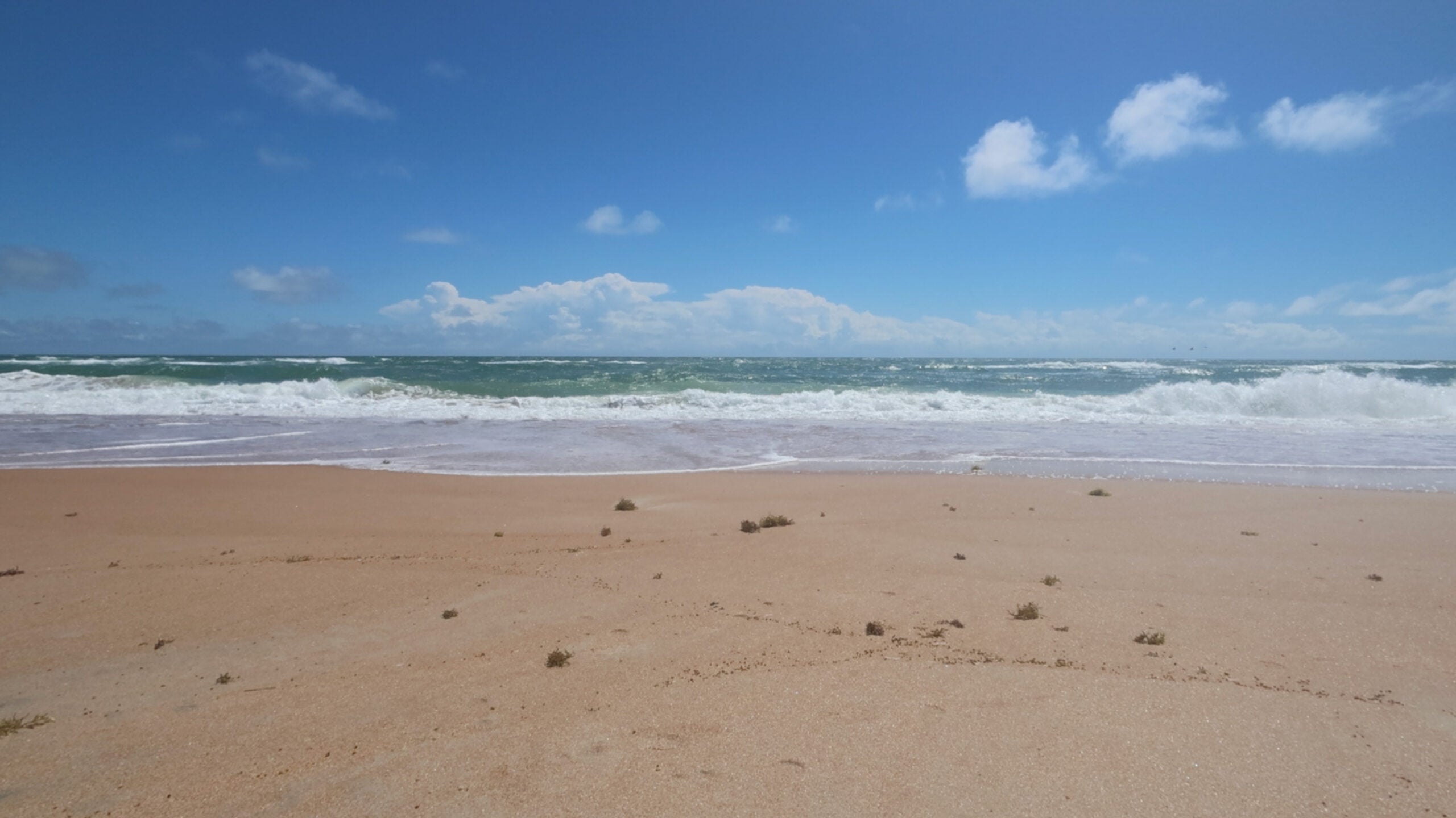 A screenshot of a beach scene taken from a video from the Canon PowerShot V10