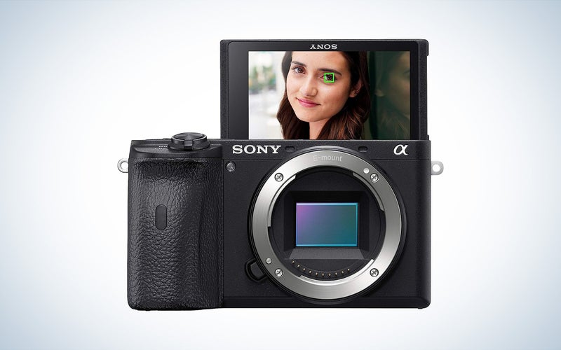Sony Alpha 6600 Mirrorless Camera