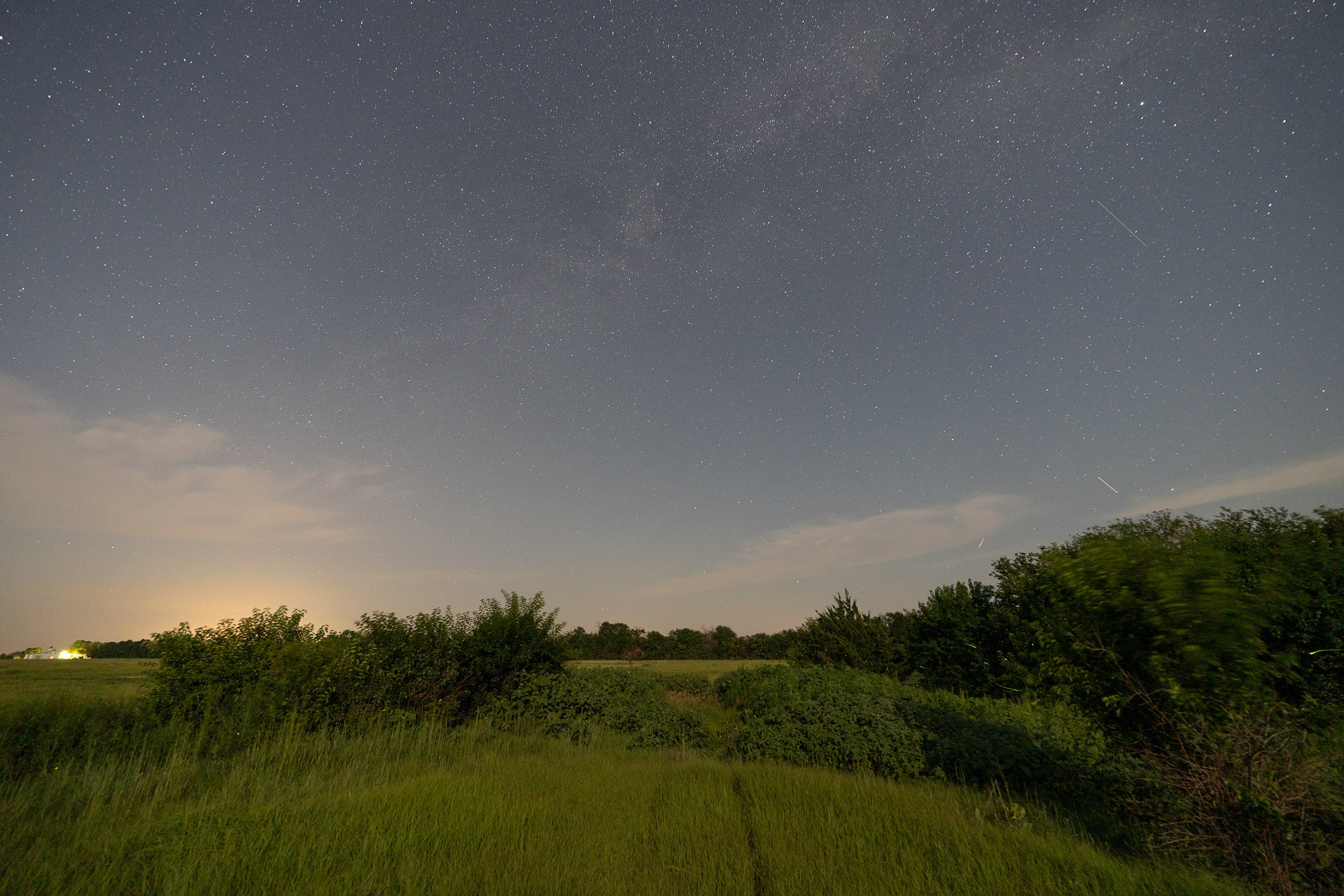 A night sky showing the Milky Way with a field in the foreground with lightning bug trails. 