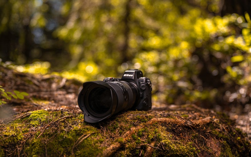 Tamron 35-150mm F/2-2.8 Di III VXD in a forest setting