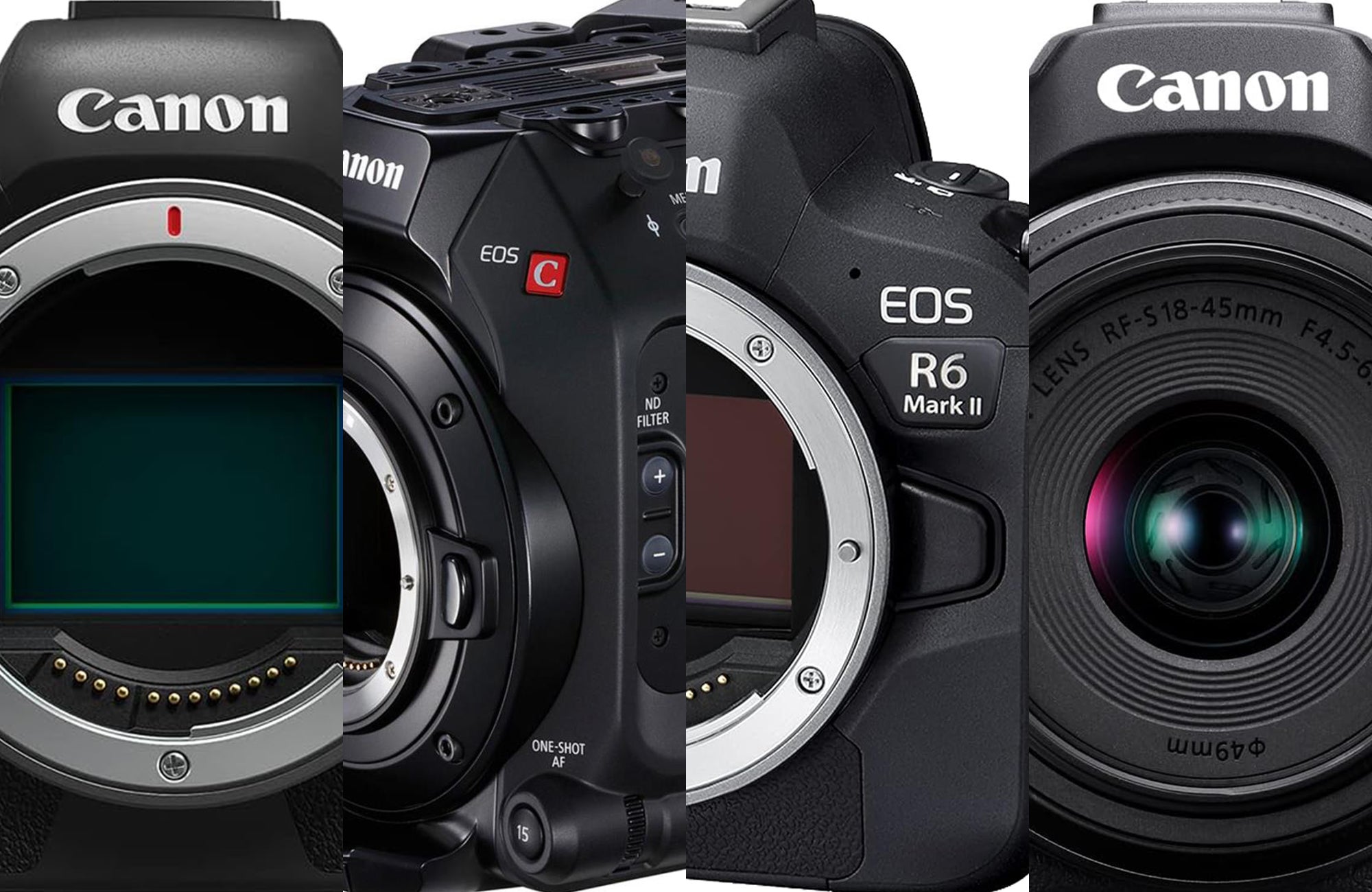 The Best Canon Camera (For Photography) Mirrorless & DSLR