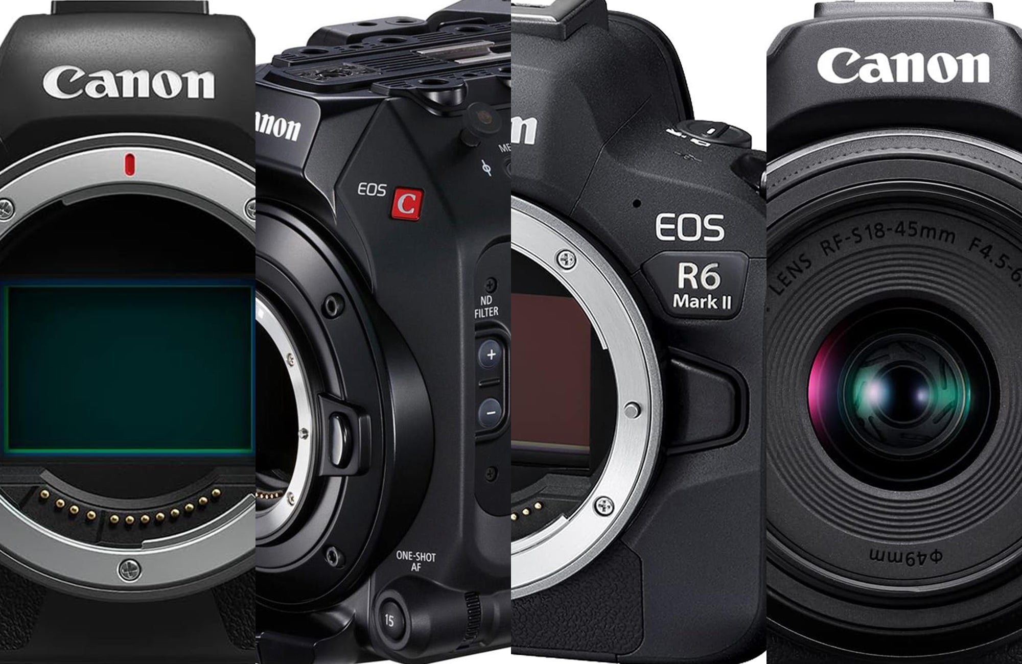 5 Best Canon DSLR Cameras of 2024 - Reviewed