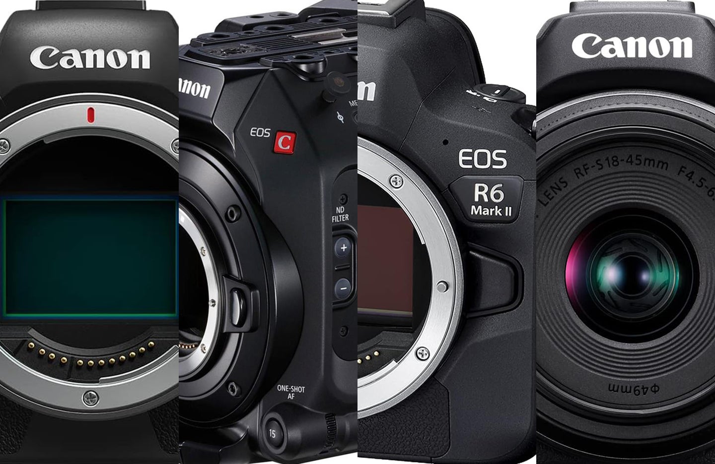 The best Canon cameras for video in 2023