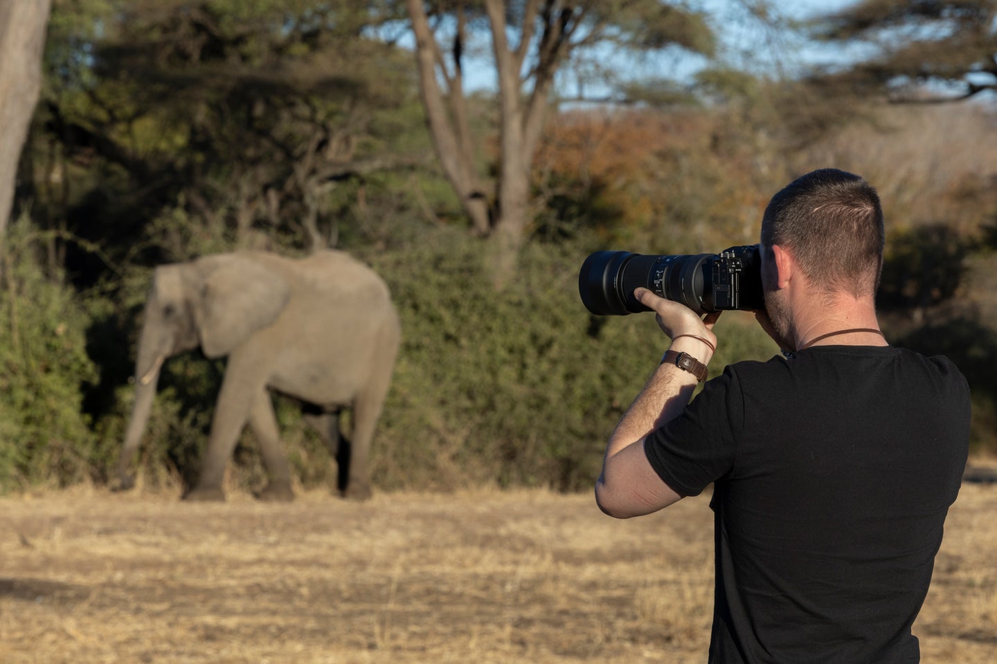 A man holds a Fujifilm camera with Sigma 100-400mm F5-6.3 DG DN OS | Contemporary lens while photographing an elephant