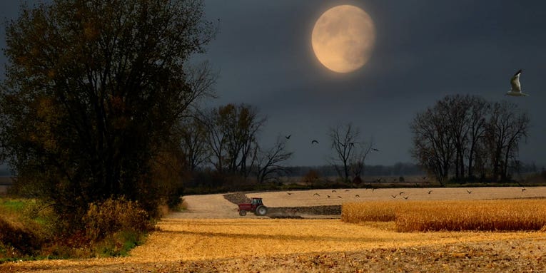 September’s night sky shows off with the Harvest Supermoon and a new comet